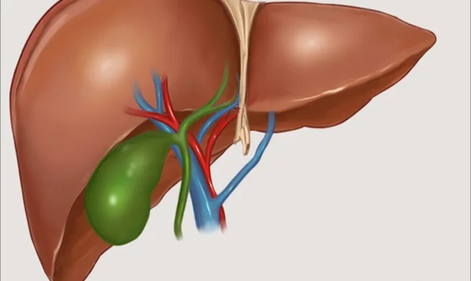 أمراض الكبد والمرارة