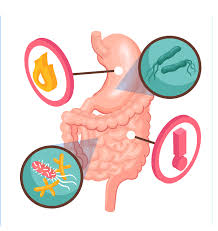 منظار القولون